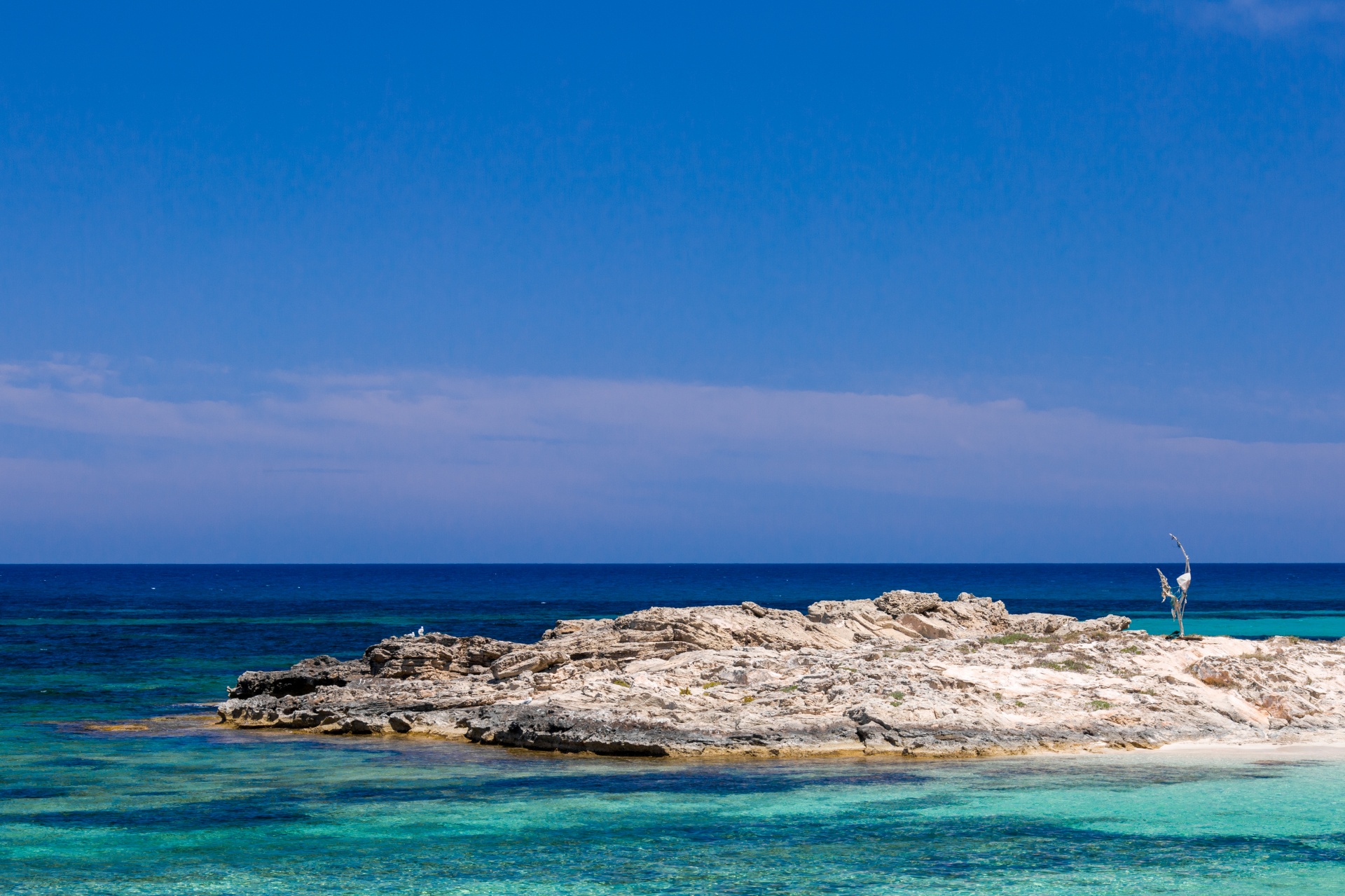 Visita la playa de Figueretas en Ibiza