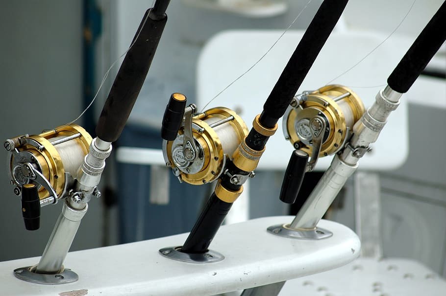 ¿Cuáles son los mejores rincones para practicar la pesca en Ibiza?