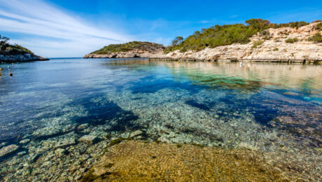 Cala Portinax