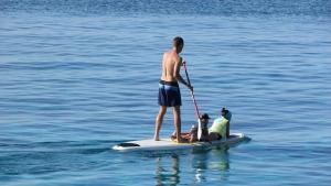 paddle-surf