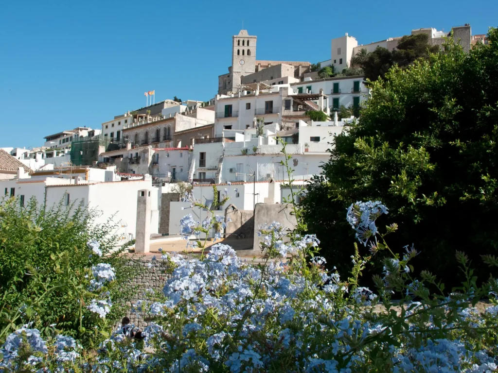 dalt vila